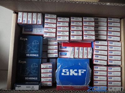 【徐水軸承 徐水nsk軸承 進口skf軸承 ntn進口軸承徐水】_徐水軸承 徐水nsk軸承 進口skf軸承 ntn進口軸承徐水價格_徐水軸承 徐水nsk軸承 進口skf軸承 ntn進口軸承徐水廠家-到中華軸承網